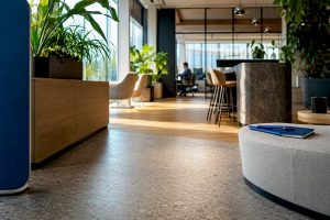 Welcoming modern office with plants and varied seating